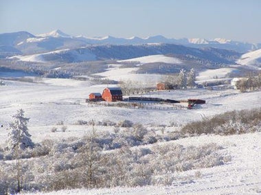 Photo of MaxWell Canyon Creek (Black Diamond) office
